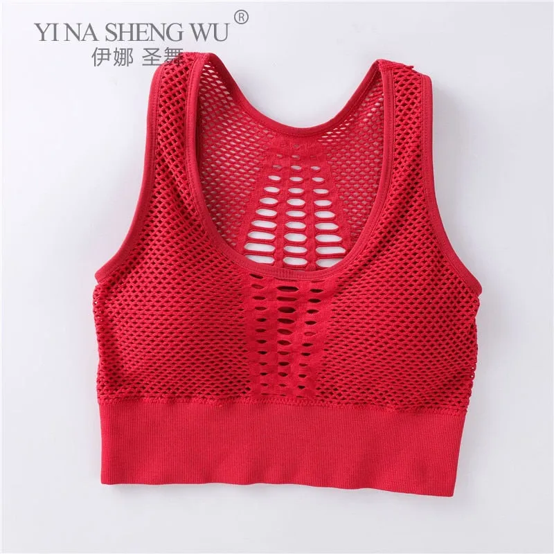 Wirefree Removable Cups Sport Bra