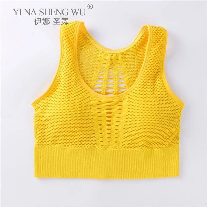 Wirefree Removable Cups Sport Bra