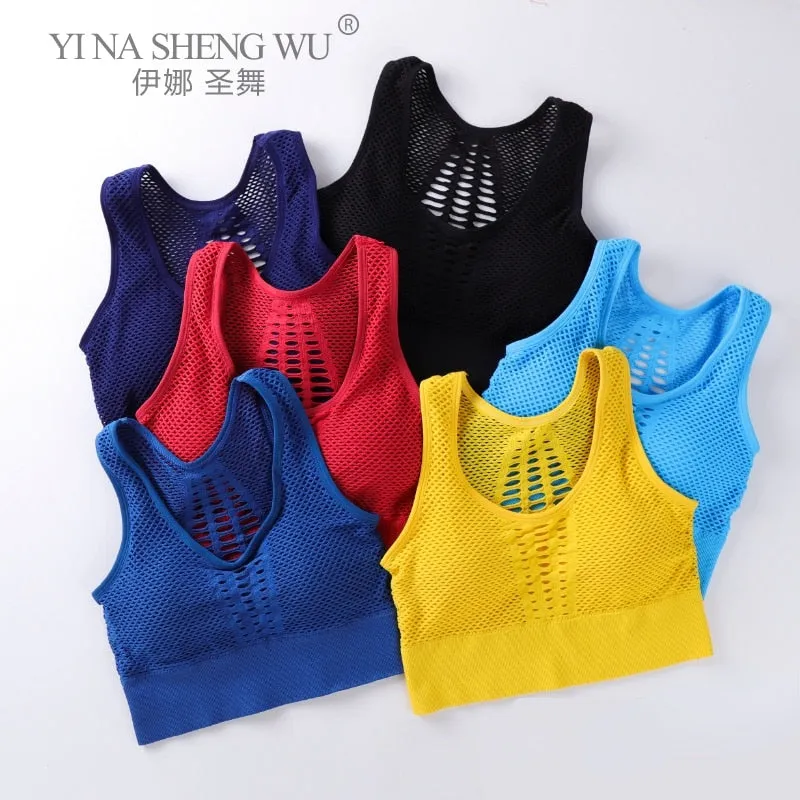 Wirefree Removable Cups Sport Bra
