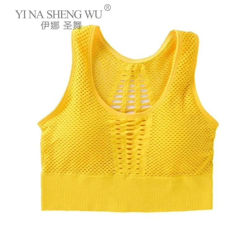 Wirefree Removable Cups Sport Bra