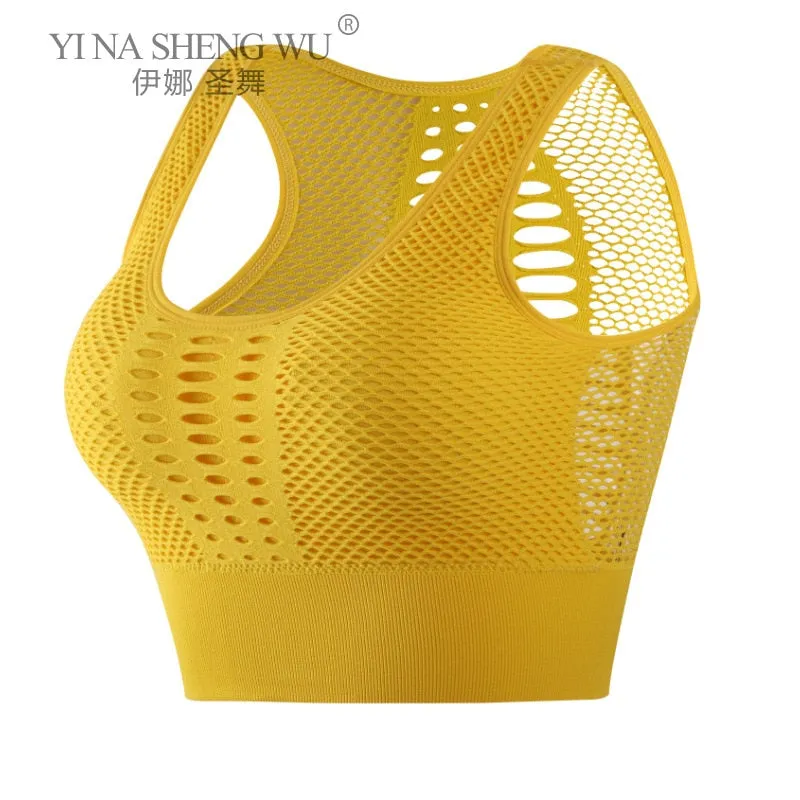 Wirefree Removable Cups Sport Bra