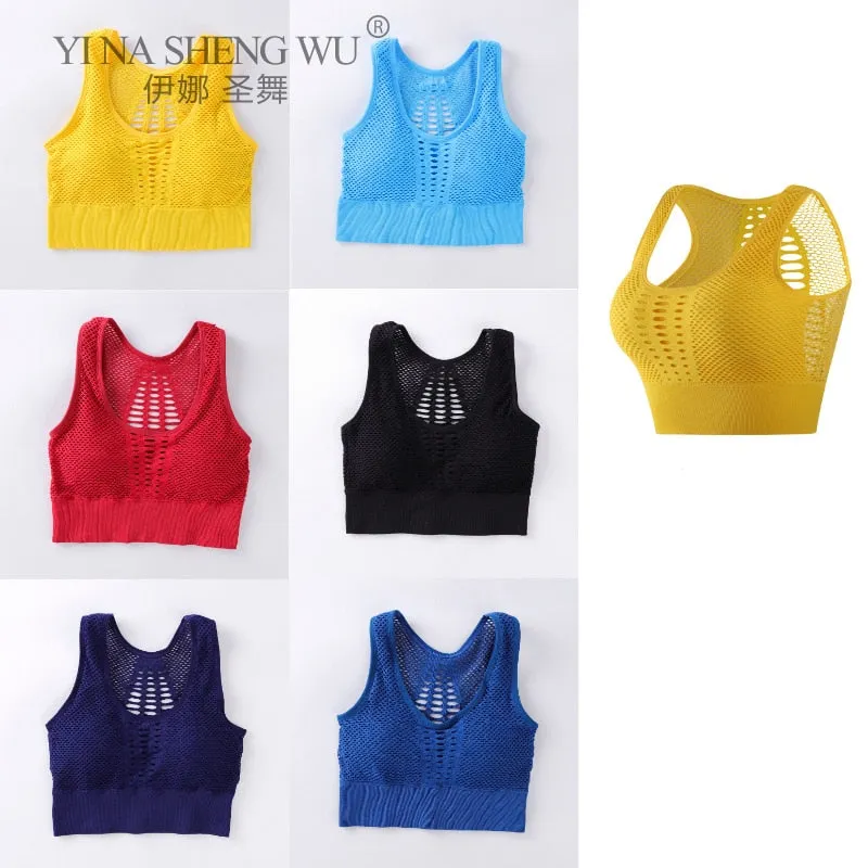 Wirefree Removable Cups Sport Bra