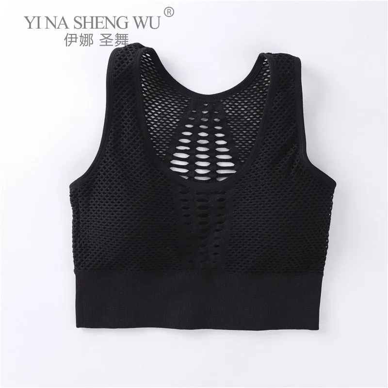Wirefree Removable Cups Sport Bra