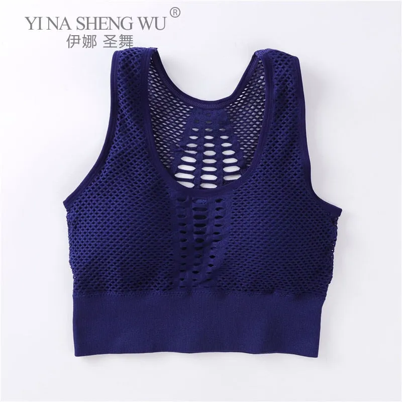 Wirefree Removable Cups Sport Bra