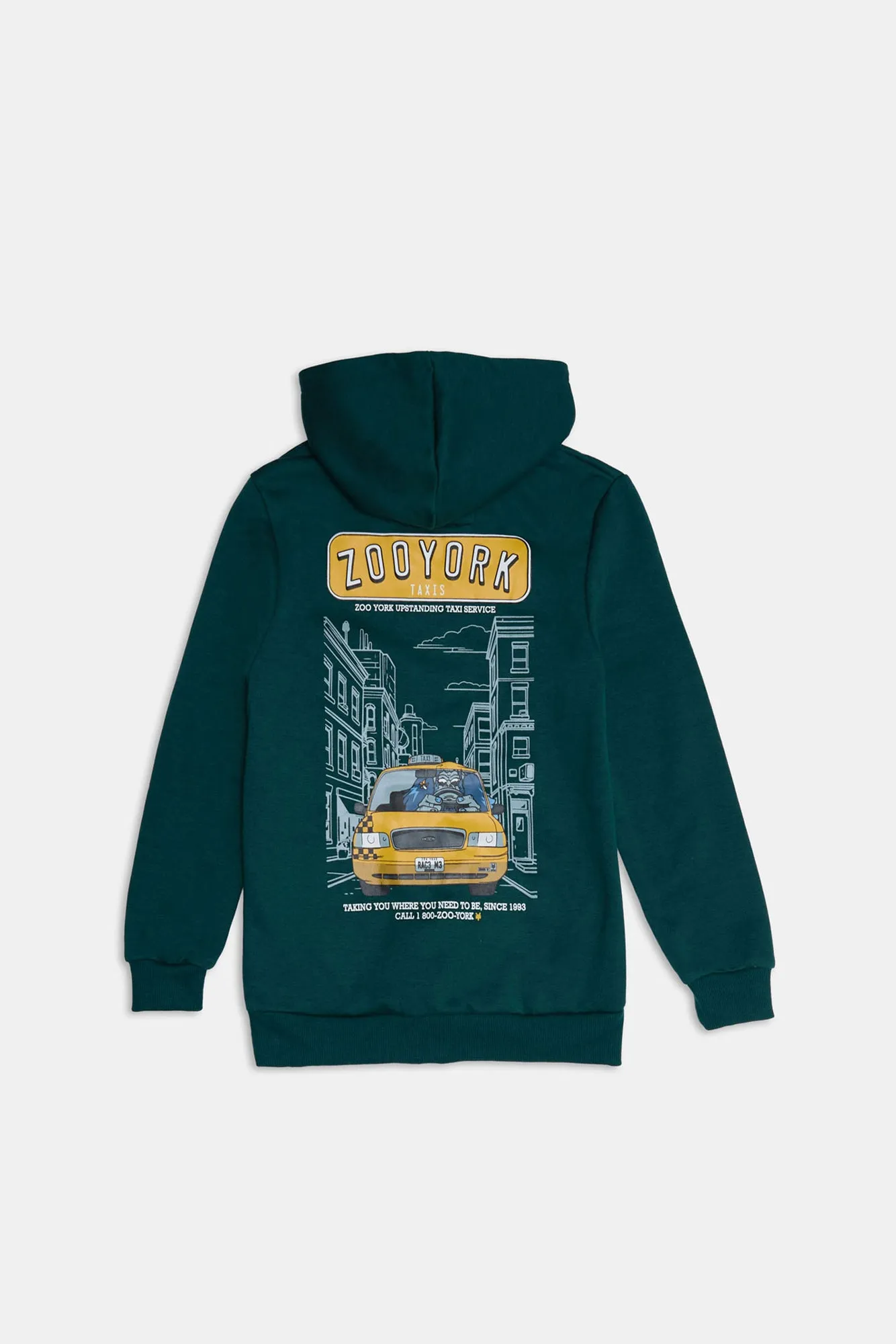 Zoo York Youth Traxi Graphic Hoodie